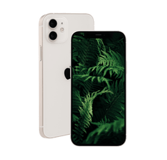 Quality Refurbished, iPhone 12 256GB